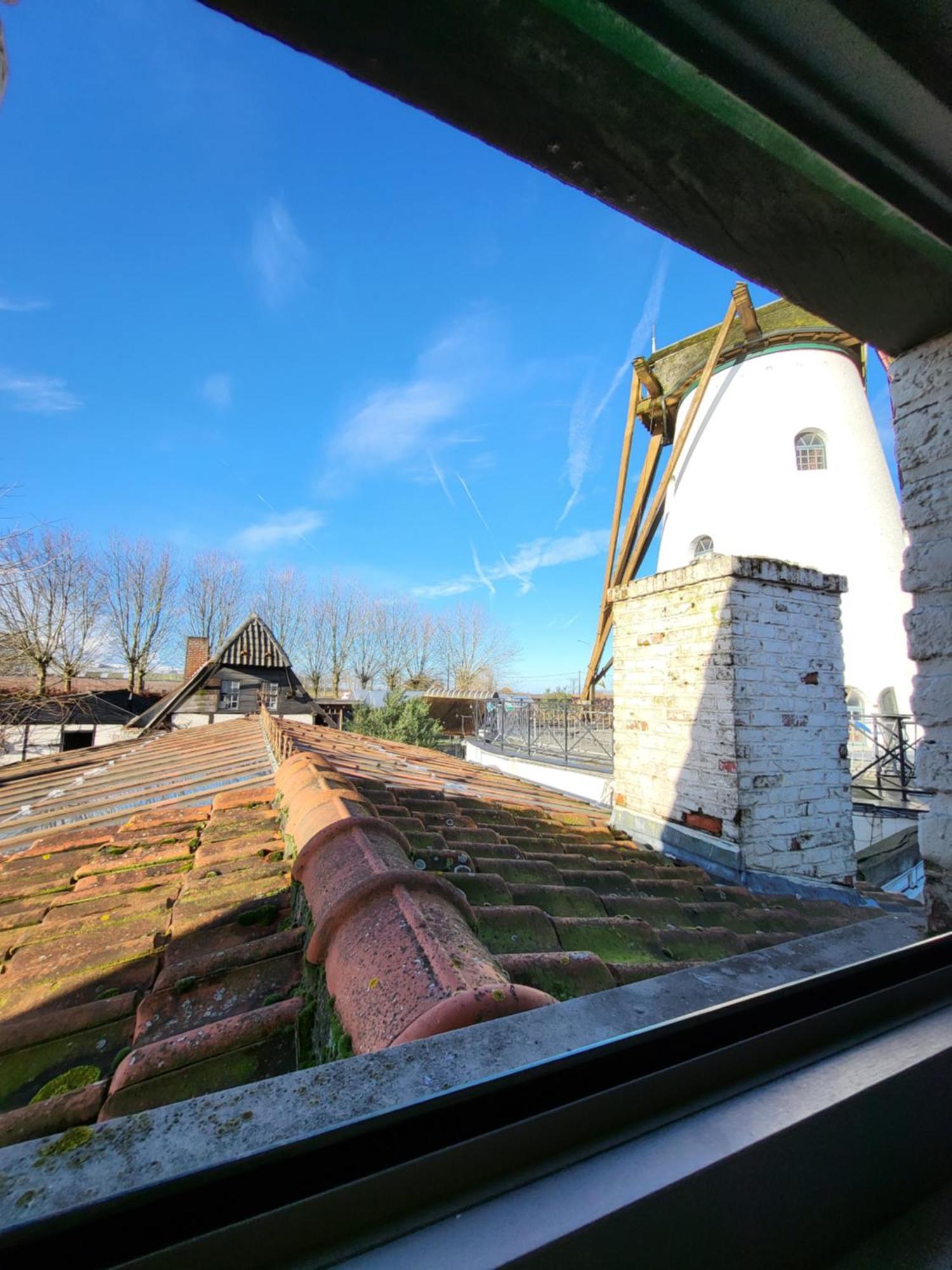 Rysselende Molen Ardooie Exterior photo